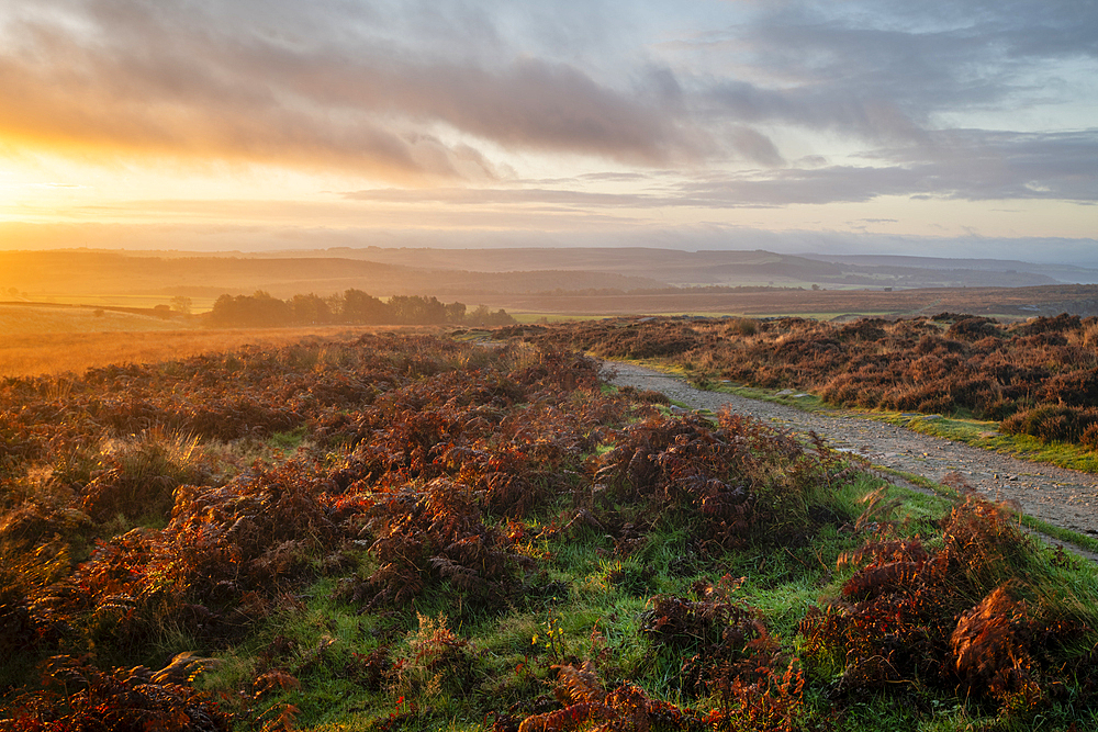 Curbar Edge at sunrise, Peak District National Park, Derbyshire, England, United Kingdom, Europe