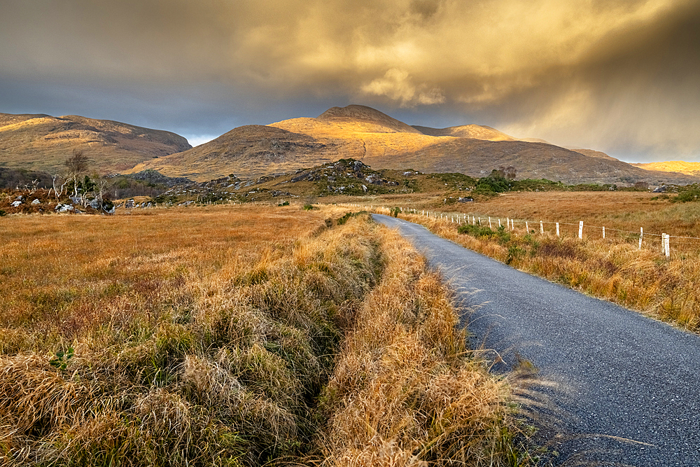 Road through Gallavally at sunset, The Black Valley, Killarney, County Kerry, Munster, Republic of Ireland (Eire), Europe