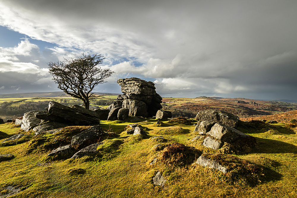 Evening light on Emsworthy Rocks, Dartmoor National Park, Devon, England, United Kingdom, Europe