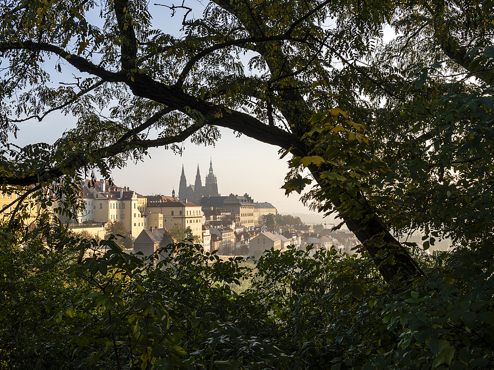 Prague Castle and St. Vitus Cathedral in morning sunlight, UNESCO World Heritage Site, Prague, Czechia (Czech Republic), Europe