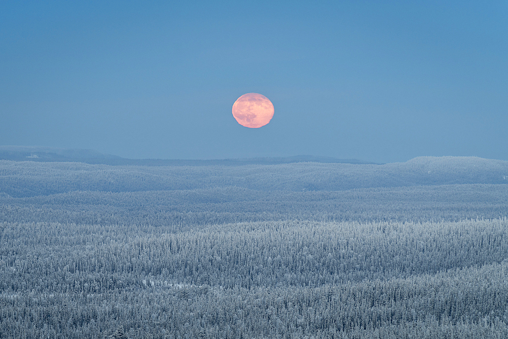 View from Kuntivaara Fell of full moon rising over the Taiga forests of Russia, Finland, Europe