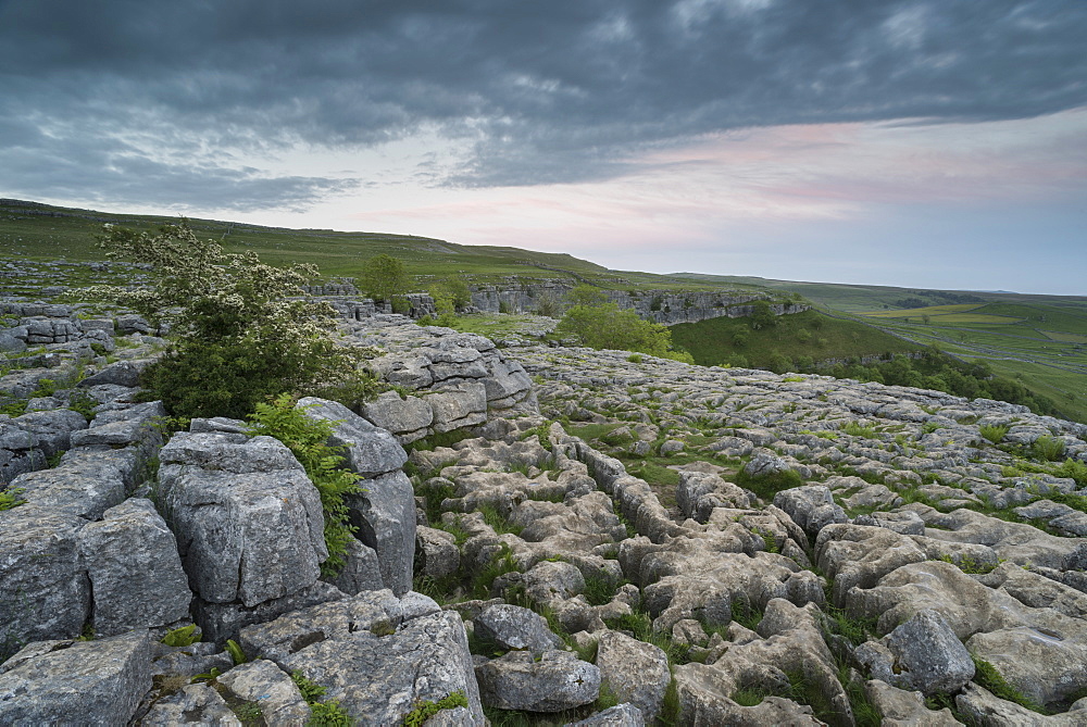 View of limestone pavement, Malham Cove, Malham, Yorkshire Dales National Park, North Yorkshire, England, United Kingdom, Europe