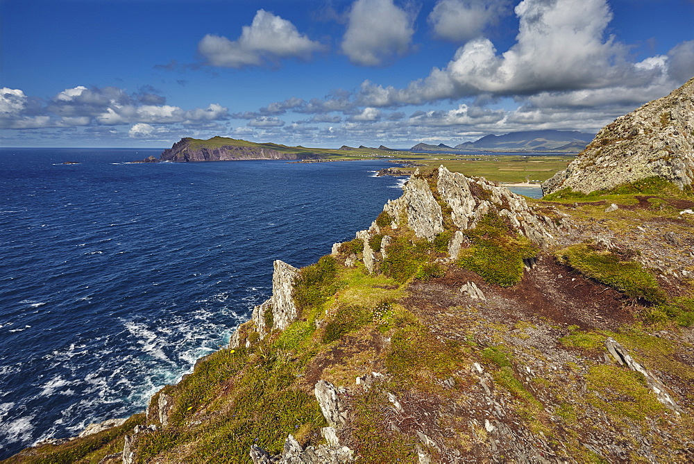 A view from Clogher Head towards Sybil Point, at the western end of the Dingle Peninsula, County Kerry, Munster, Republic of Ireland, Europe