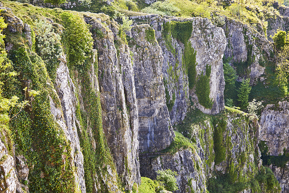 Limestone cliffs in Cheddar Gorge, in the Mendip Hills, Somerset, Great Britain.