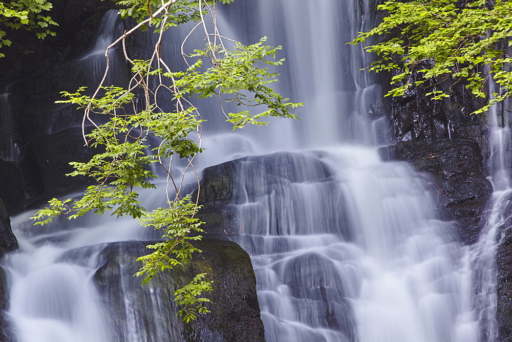 Torc Waterfall, Killarney National Park, near Killarney, County Kerry, Munster, Republic of Ireland, Europe