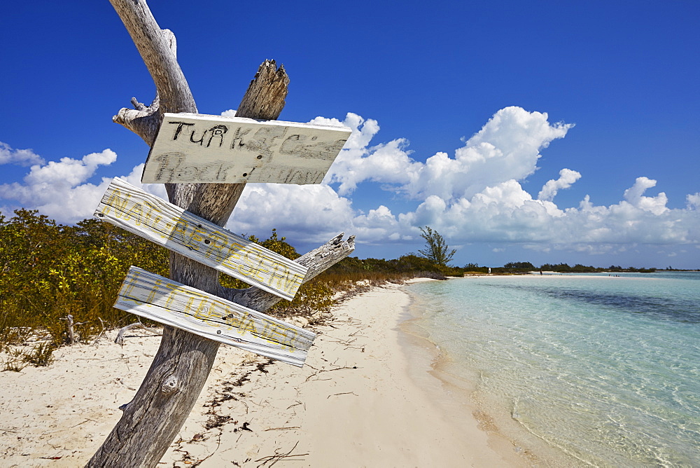 The shore of Little Water Cay, a nature reserve island off the northern tip of Providenciales, Turks and Caicos, in the Caribbean, West Indies, Central America