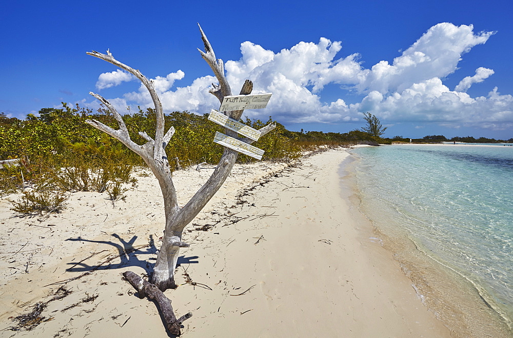 The shore of Little Water Cay, a nature reserve island off the northern tip of Providenciales, Turks and Caicos, in the Caribbean, West Indies, Central America