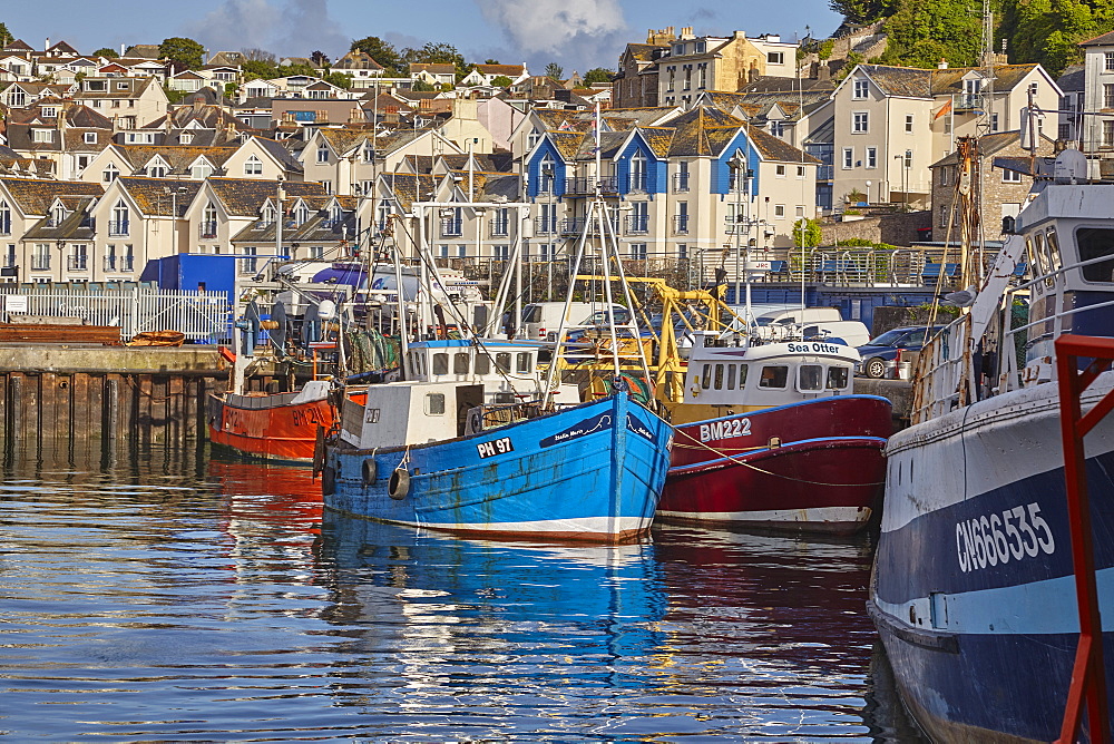 Fishing boats tied up in Brixham harbour, the south coast's busiest fishing port, in Torbay, on Devon's south coast, Brixham, Devon, England, United Kingdom, Europe