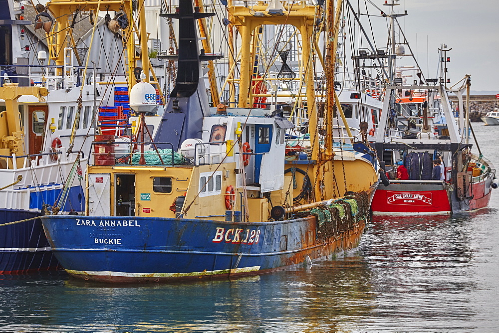 Fishing boats tied up in Brixham harbour, the south coast's busiest fishing port, in Torbay, on Devon's south coast, Brixham, Devon, England, United Kingdom, Europe