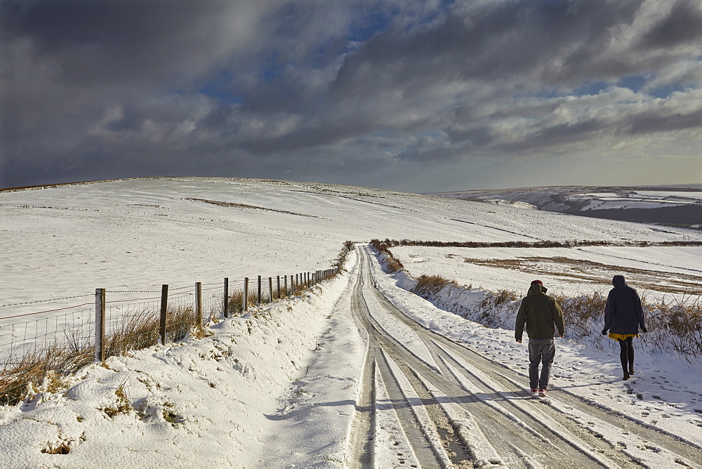 A snowy winter's day on Exmoor's hills, Kinsford Gate, near the village of Brayford, Exmoor National Park, Devon, England, United Kingdom, Europe