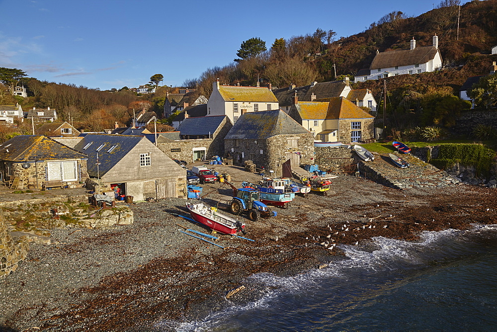 Fishing boats pulled up on the shore at the fishing village of Cadgwith, on the Lizard peninsula, in west Cornwall, England, United Kingdom, Europe