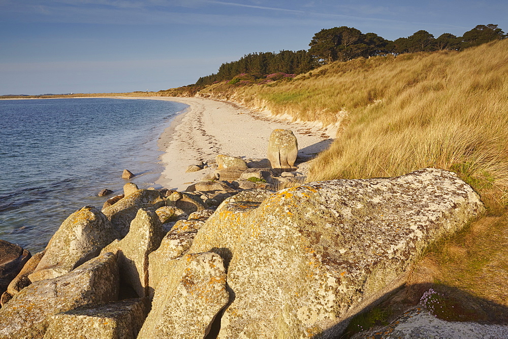 The magnificent sands of Pentle Bay, on the island of Tresco, Isles of Scilly, England, United Kingdom, Europe