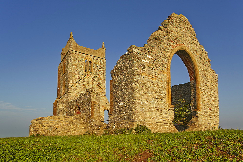 The ruins of St. Michael's Church on the summit of Burrow Mump, a small hill at Burrowbridge, in the Somerset Levels, Somerset, England, United Kingdom, Europe