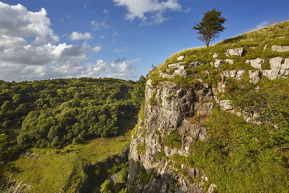 The limestone cliffs of Cheddar Gorge, in the Mendip Hills, near Cheddar, Somerset, England, United Kingdom, Europe