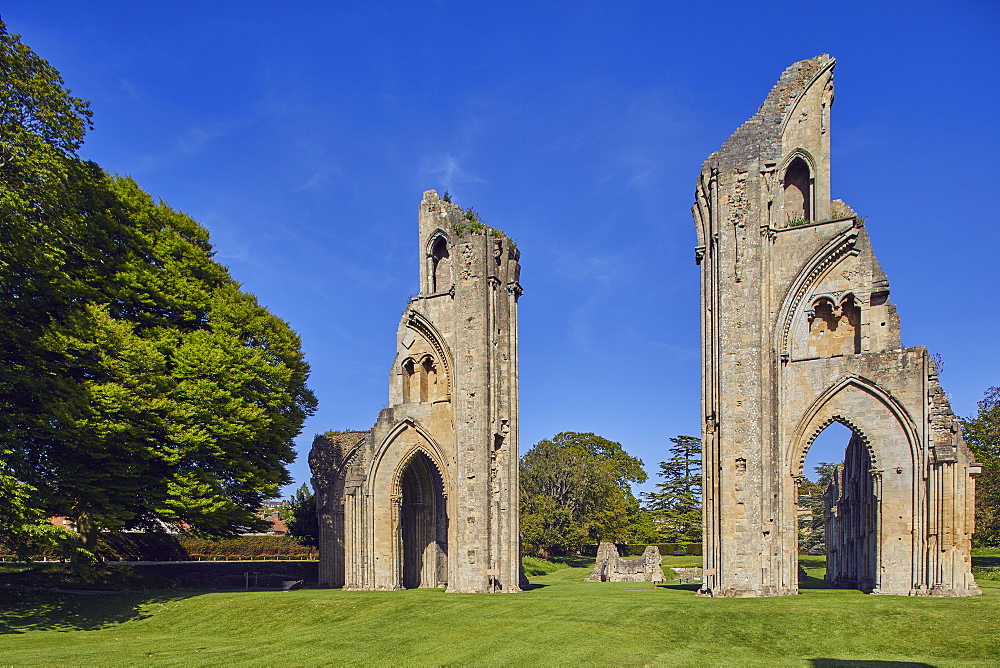 The ruins of the Great Church in the historic Glastonbury Abbey, Glastonbury, Somerset, England, United Kingdom, Europe