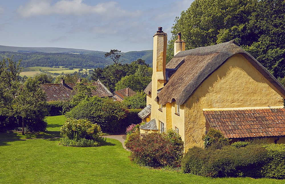 One of the historic cottages in the village of Selworthy, near Minehead, in Exmoor National Park, Somerset, England, United Kingdom, Europe