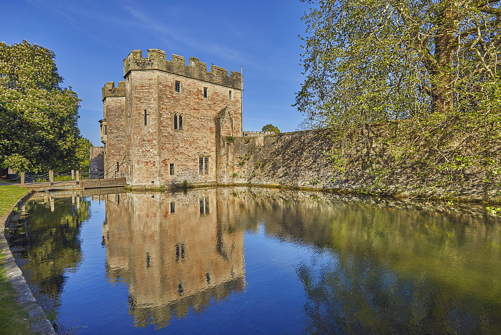 The historic Bishop's Palace and moat, Wells Cathedral, in Wells, Somerset, England, United Kingdom, Europe