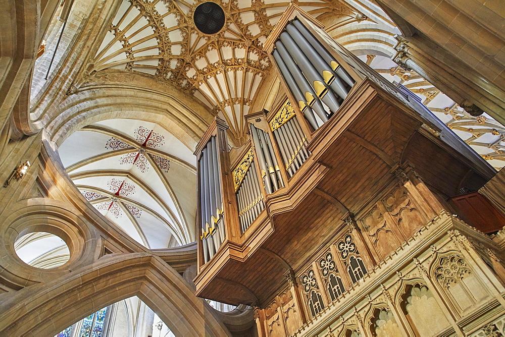 The massive organ and the ceiling in Wells Cathedral, in Wells, Somerset, England, United Kingdom, Europe