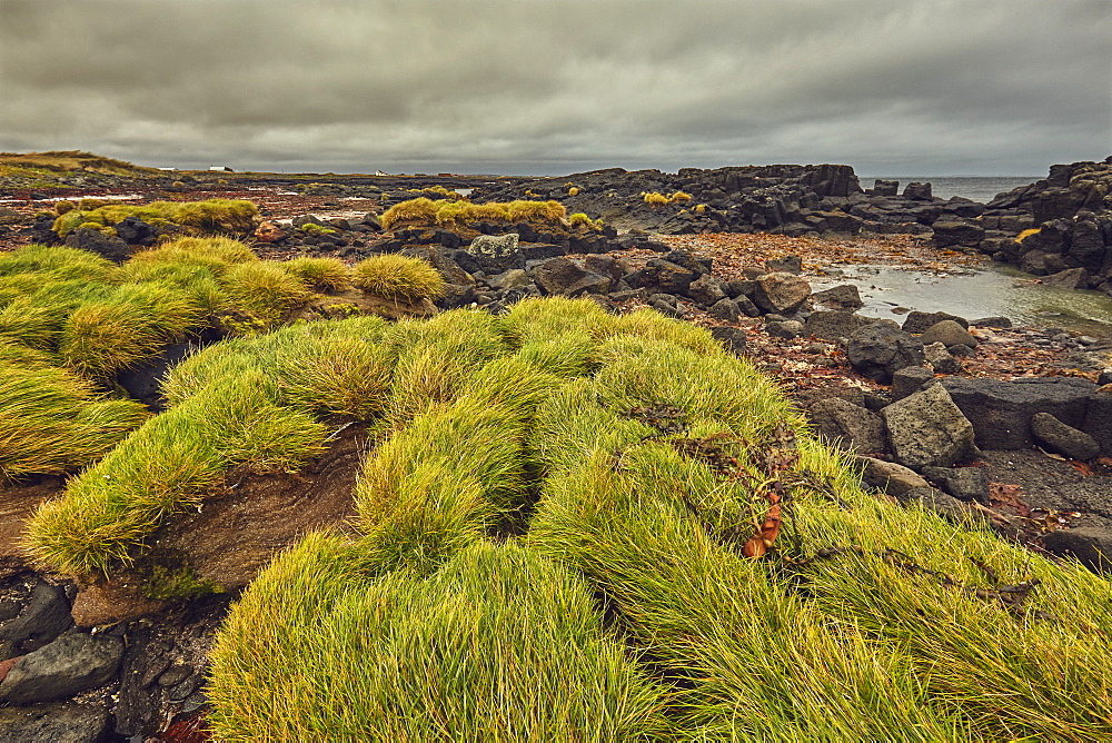 A low-lying basalt lava shoreline at Kalfatjorn, near Keflavik, Iceland, Polar Regions