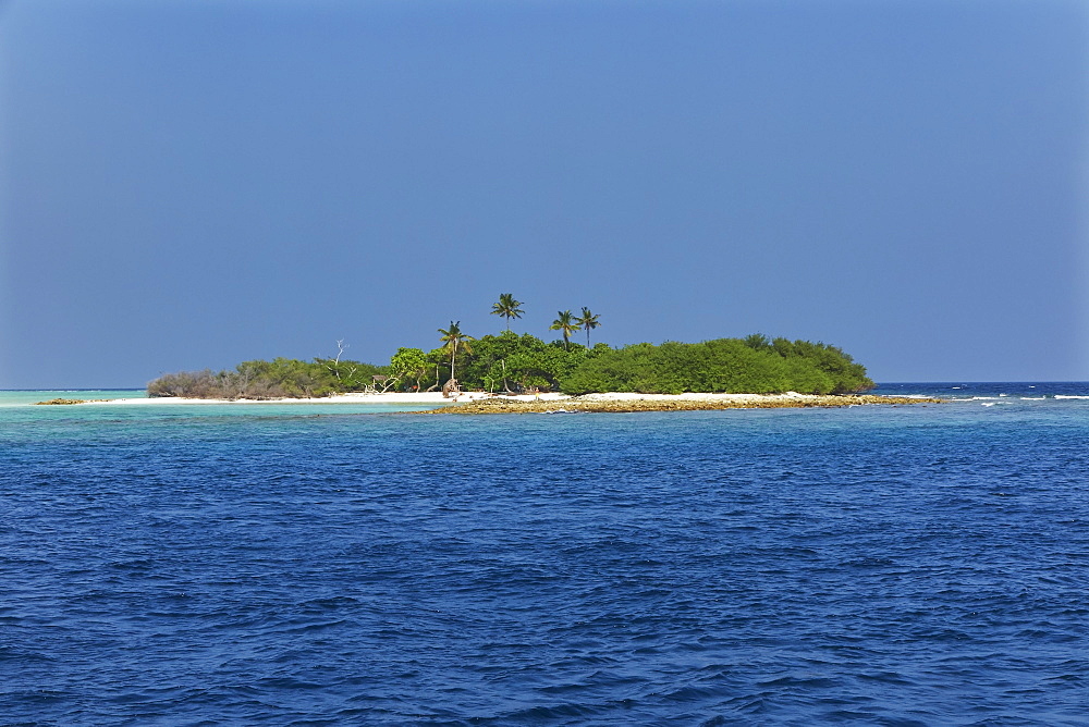 Madivaru island, Rasdhoo atoll, Maldives, Indian Ocean, Asia