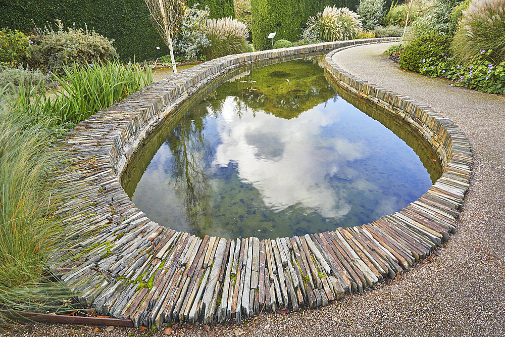 A formal garden scene, with pond, in Devon, England, United Kingdom, Europe