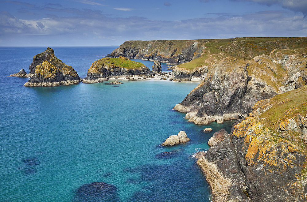 The stunning beach, rocks and cliffs at Kynance Cove, seen at at low tide, near the Lizard Point, Cornwall, England, United Kingdom, Europe