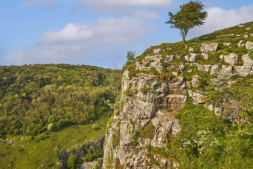 A view across the cliffs of Cheddar Gorge, seen from the south side, Cheddar, Somerset, England, United Kingdom, Europe