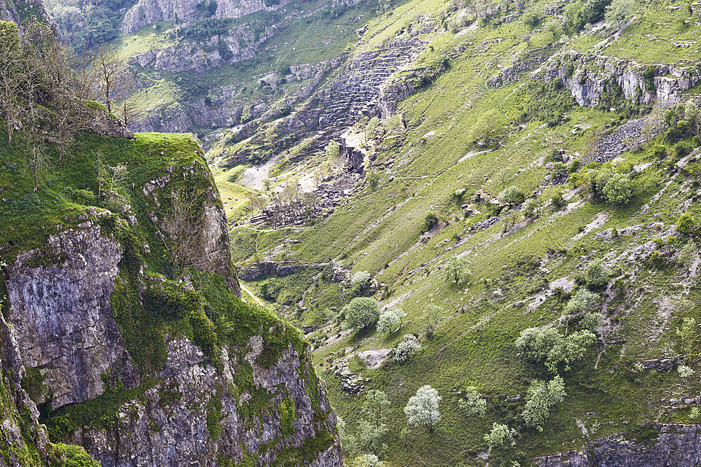 A view across the cliffs of Cheddar Gorge, seen from the south side, Cheddar, Somerset, England, United Kingdom, Europe