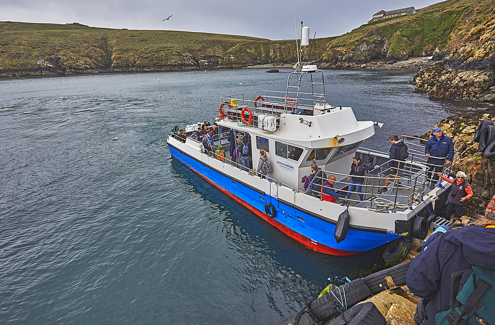 The Skomer ferry getting ready to pick up passengers on Skomer Island, off the coast of Pembrokeshire, Wales, United Kingdom, Europe