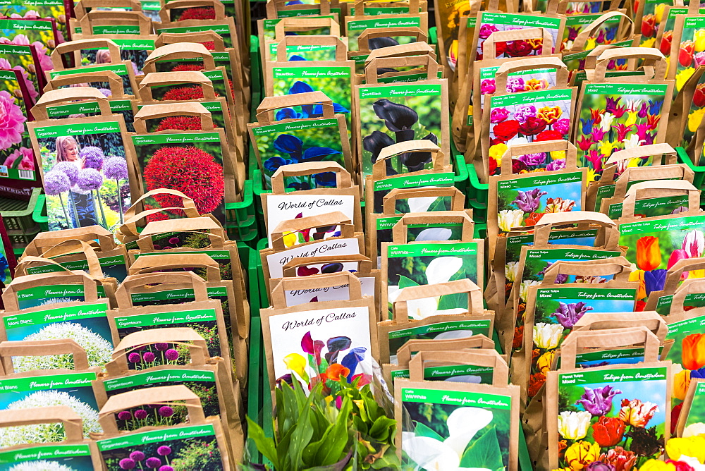 Flower seeds for sale in Bloemenmarkt, Amsterdam, Netherlands, Europe