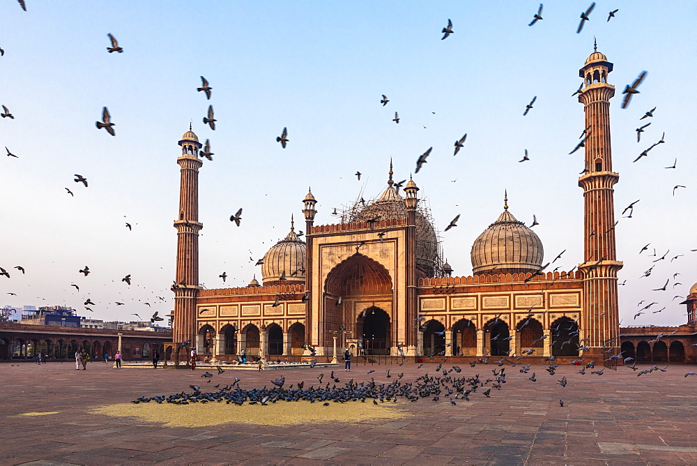 Early morning in Jama Masjid, Old Delhi, India, Asia