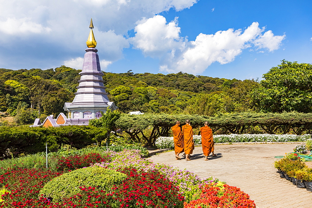 Doi Inthanon National Park, Chiang Mai, Northern Thailand, Thailand, Southeast Asia, Asia