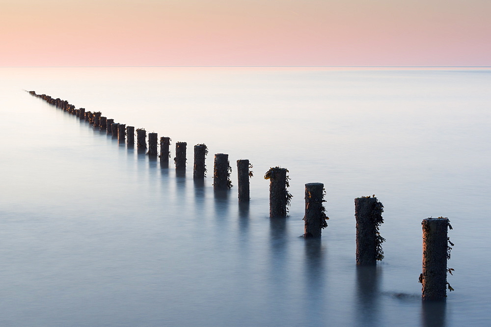 Groynes, Brean Beach, Somerset, England, United Kingdom, Europe