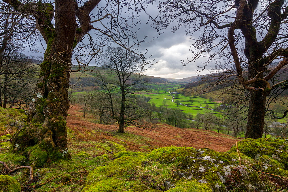 Wharfedale at dawn, Yorkshire Dales, Yorkshire, England, United Kingdom, Europe