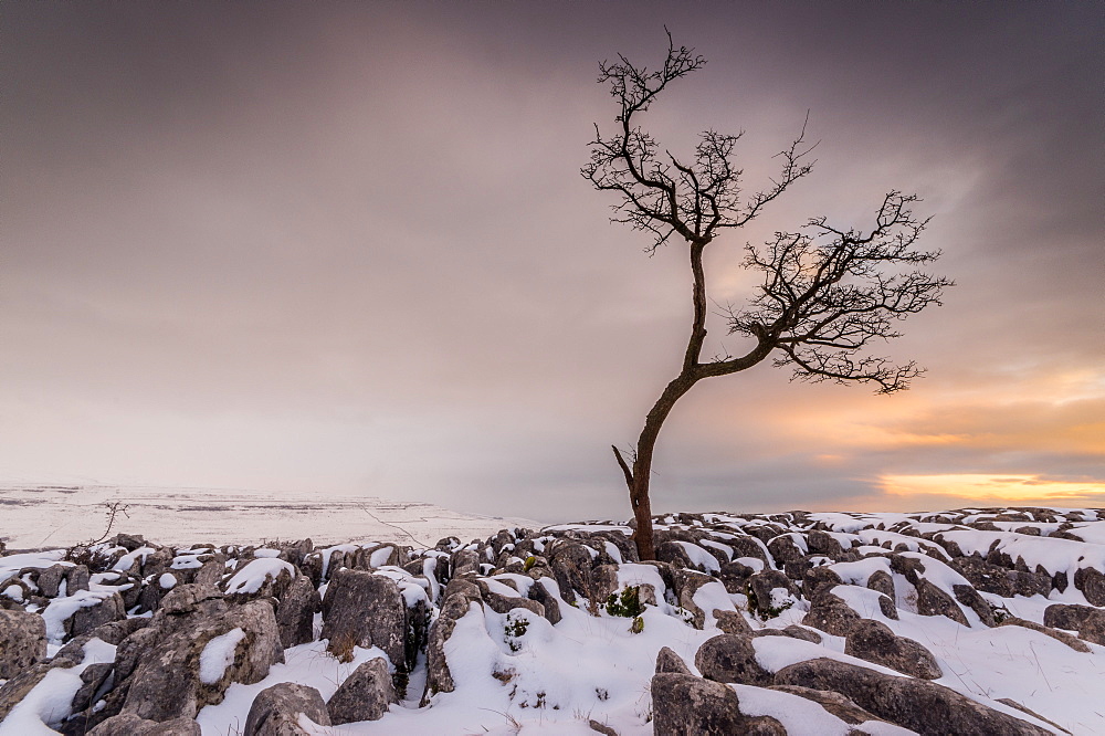 Twistleton Scar End in snow, Ingleton, Yorkshire Dales, Yorkshire, England, United Kingdom, Europe