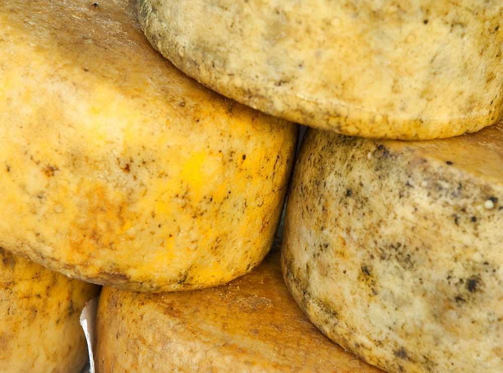 Cheese in the market, Ajaccio, Corsica, Europe