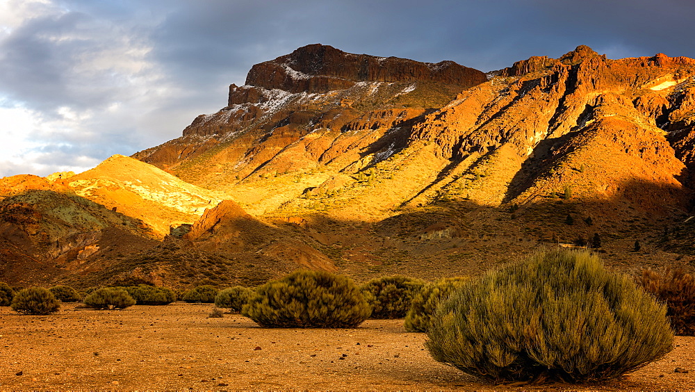 Teide National Park, UNESCO World Heritage Site, Tenerife, Canary Islands, Spain, Europe