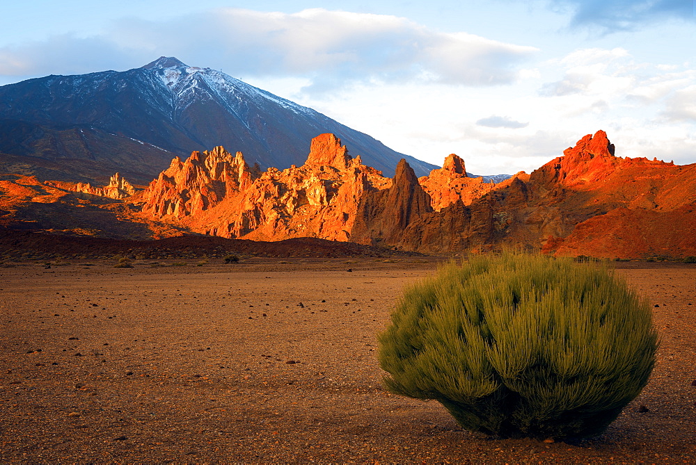 Teide National Park, UNESCO World Heritage Site, Tenerife, Canary Islands, Spain, Europe