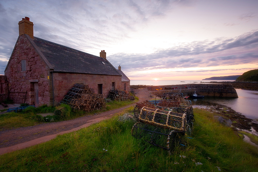 Cove, East Lothian, Scotland, United Kingdom, Europe