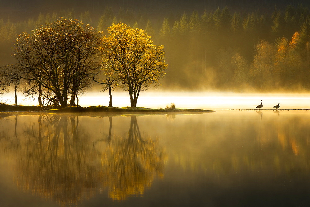 Autumn at Loch Ard, Trossachs National Park, Stirling Region, Scotland, United Kingdom, Europe