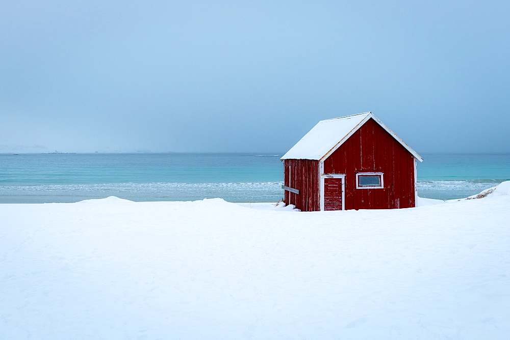 Red rorbuer (fisherman's hut) on a snowy winters day, Ramberg, Lofoten Islands, Nordland, Arctic, Norway, Europe