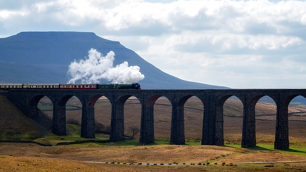 Steam train crossing the Ribblehead Viaduct, Yorkshire Dales National Park, Yorkshire, England, United Kingdom, Europe