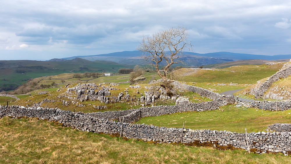 Landscape with dry stone walls, Yorkshire, England, United Kingdom, Europe