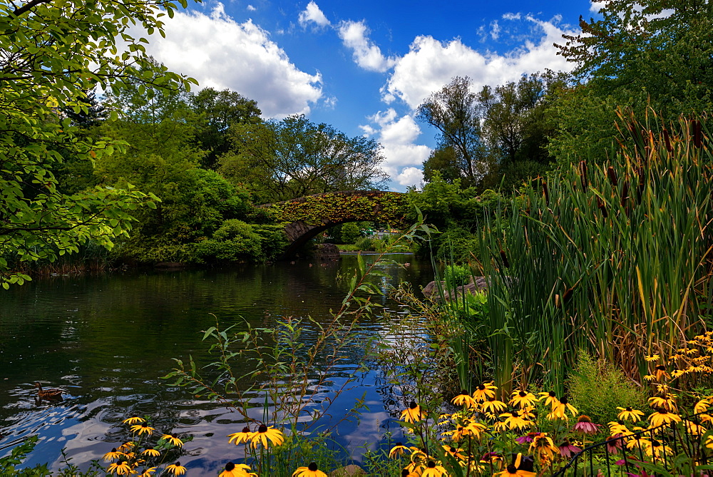 Central Park, New York City, United States of America, North America