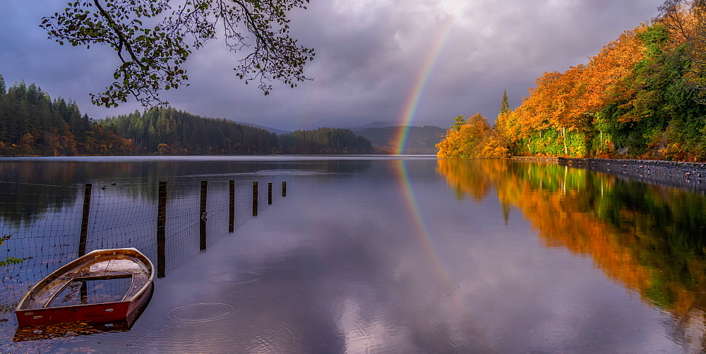 Autumn at Loch Ard, Trossachs, Scotland, United Kingdom, Europe