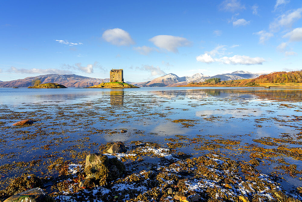 Castle Stalker, Appin, Scottish Highlands, Scotland, United Kingdom, Europe