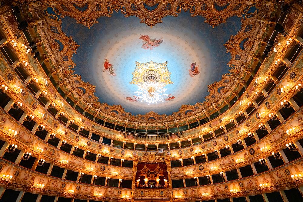 Audience Box Seating, Interior of the Gran Teatro La Fenice, Venezia, Venice, Italy, Europe