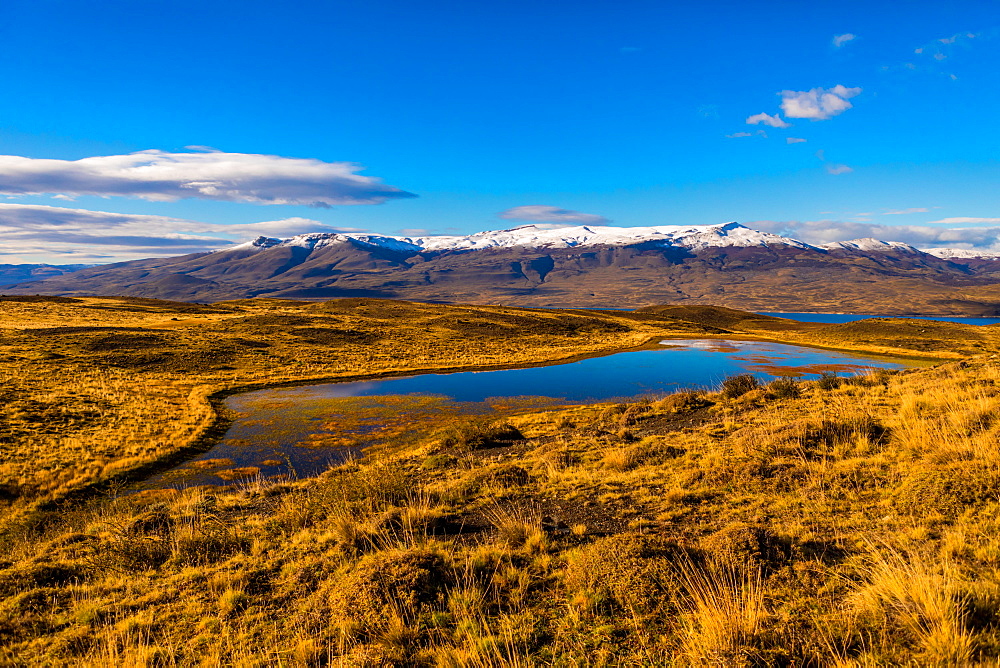 Beautiful scenery in Torres del Paine National Park, Patagonia, Chile, South America