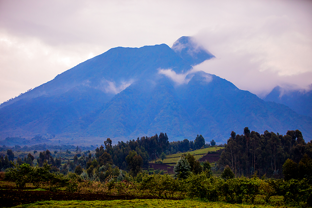 Dusk at Bwindi Impenetrable Forest National Park, UNESCO World Heritage Site, Uganda, East Africa, Africa