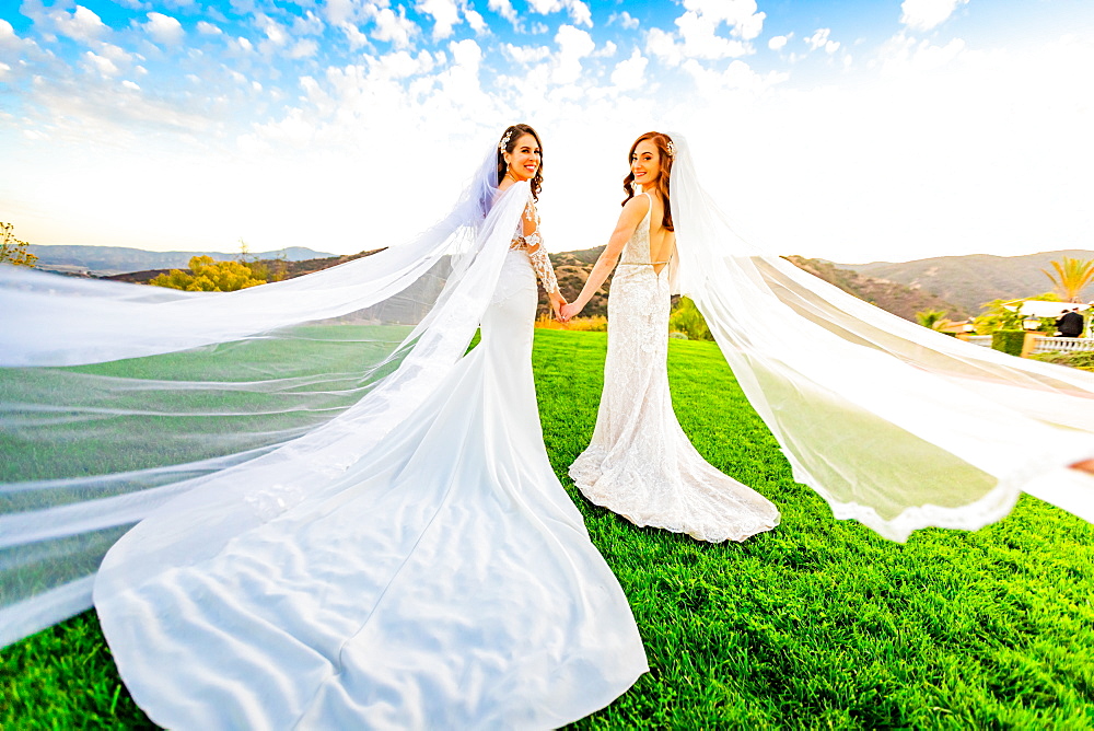 Newlyweds first look post wedding ceremony, Corona, California, United States of America, North America